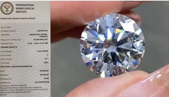 De Losse Laboratorium Gecreeerde Diamanten 16.63Carat VS1 van IGI om e-Kleur